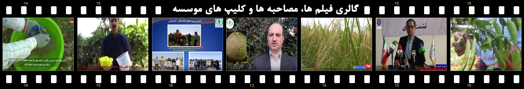 videogallery1.png